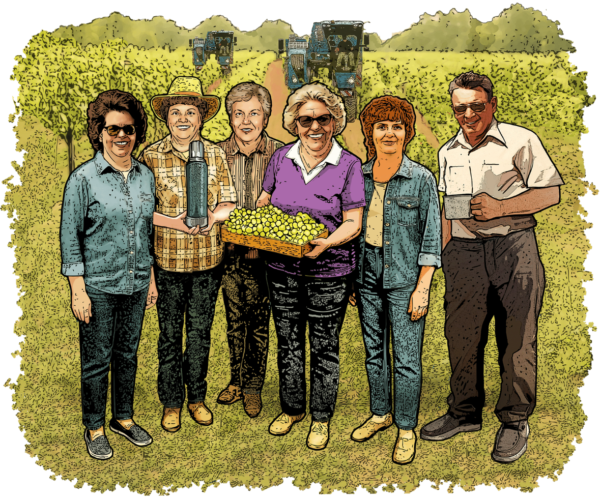 fixed work bee white